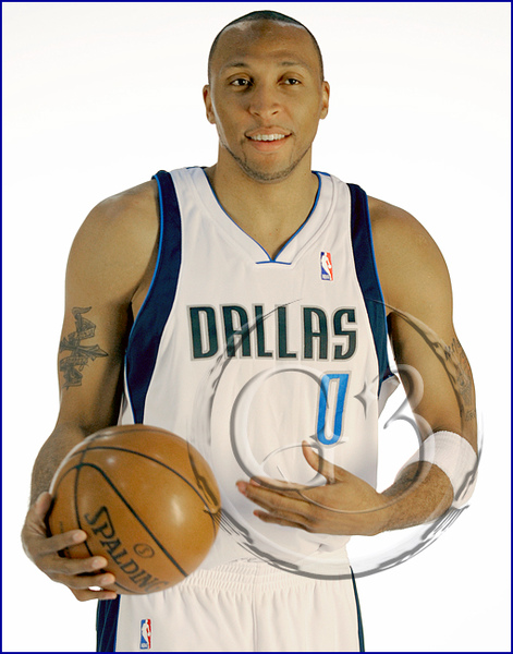 shawn marion.jpg