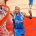 shawn-marion2.jpg