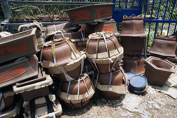 DSC00005.JPG DSC00005.JPG