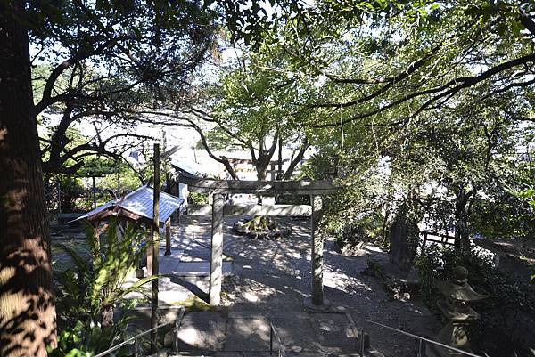 一樣綠意盎然 _DSC9285.jpg