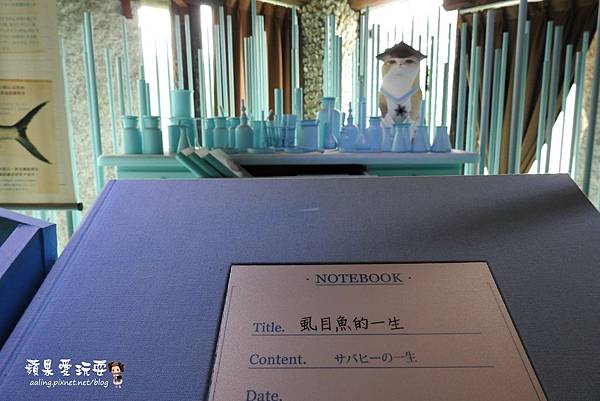 台南安平‧海洋風貓咪群,好拍好好玩~「虱目魚主題館」府城旗艦店(二訪) 台南安平‧海洋風貓咪群,好拍好好玩~「虱目魚主題館」府城旗艦店(二訪)