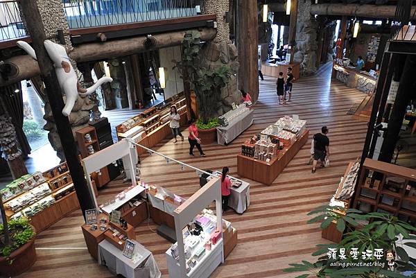 台南安平‧海洋風貓咪群,好拍好好玩~「虱目魚主題館」府城旗艦店(二訪) 台南安平‧海洋風貓咪群,好拍好好玩~「虱目魚主題館」府城旗艦店(二訪)