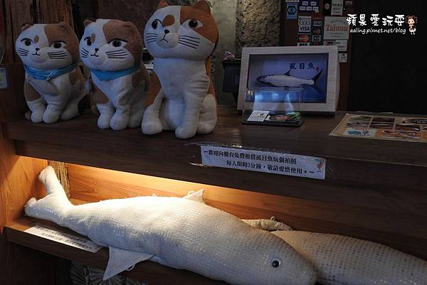 台南安平‧海洋風貓咪群,好拍好好玩~「虱目魚主題館」府城旗艦店(二訪) 台南安平‧海洋風貓咪群,好拍好好玩~「虱目魚主題館」府城旗艦店(二訪)