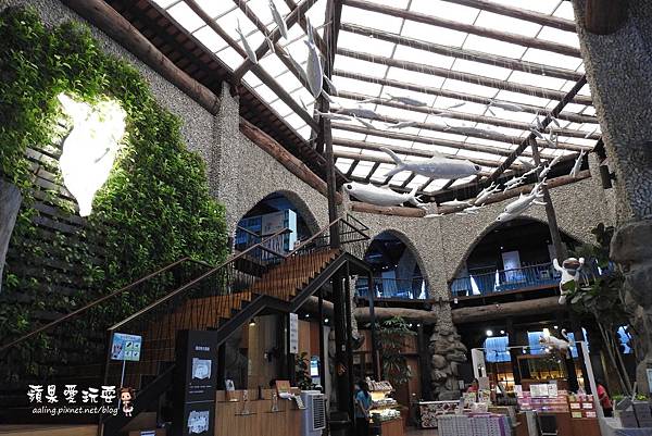 台南安平‧海洋風貓咪群,好拍好好玩~「虱目魚主題館」府城旗艦店(二訪) 台南安平‧海洋風貓咪群,好拍好好玩~「虱目魚主題館」府城旗艦店(二訪)