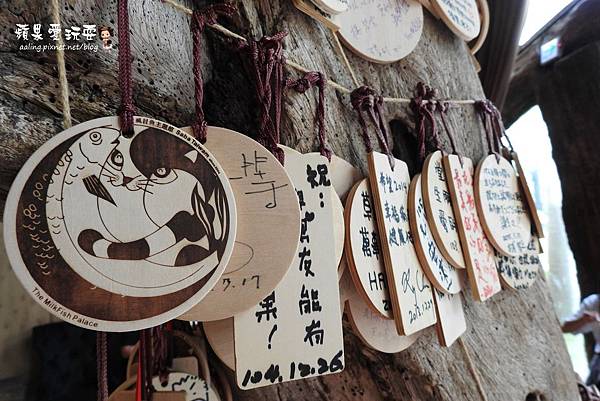 台南安平‧海洋風貓咪群,好拍好好玩~「虱目魚主題館」府城旗艦店(二訪) 台南安平‧海洋風貓咪群,好拍好好玩~「虱目魚主題館」府城旗艦店(二訪)