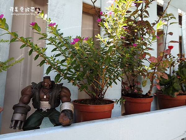 屏東恆春‧新發現!隱藏在墾丁巷弄內的美食~「賀Her 巷內食間」烤饅頭 屏東恆春‧新發現!隱藏在墾丁巷弄內的美食~「賀Her 巷內食間」烤饅頭