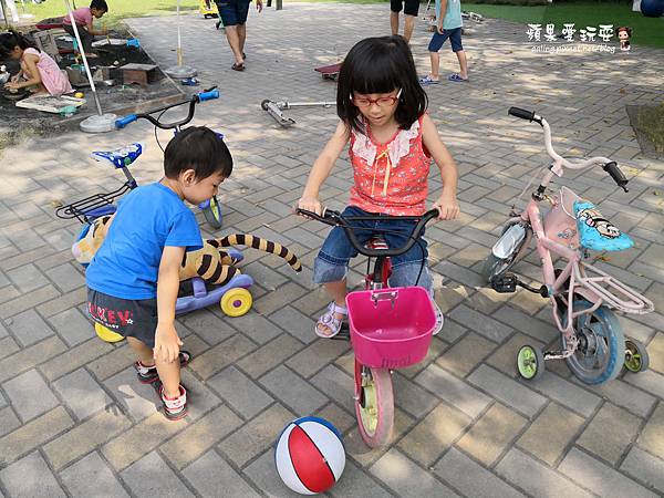 IMG_20181111_113932.jpg IMG_20181111_113932.jpg