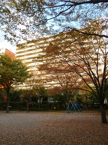 練馬區的光之丘公園