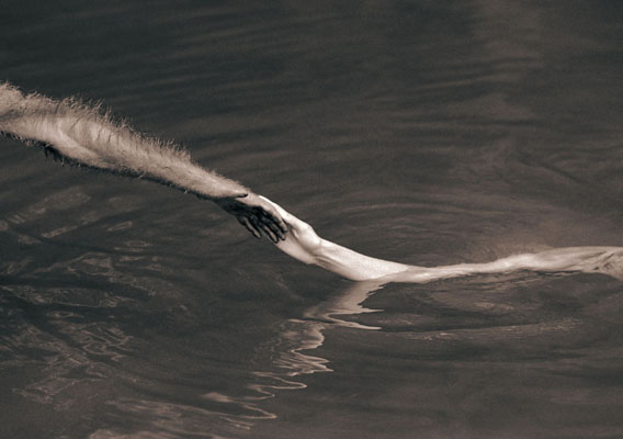 Photos by Gregory Colbert