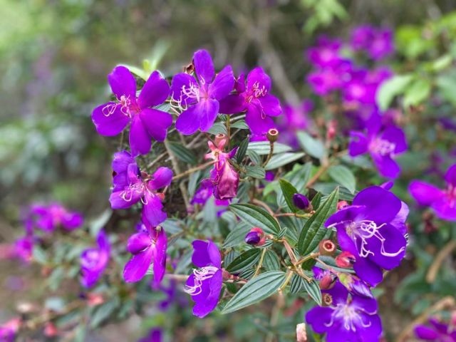 獵鷹尖一線天 (13).jpg