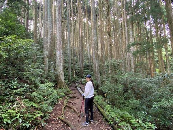 加里山 (20).jpg 加里山 (20).jpg