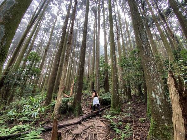 加里山 (24).jpg 加里山 (24).jpg