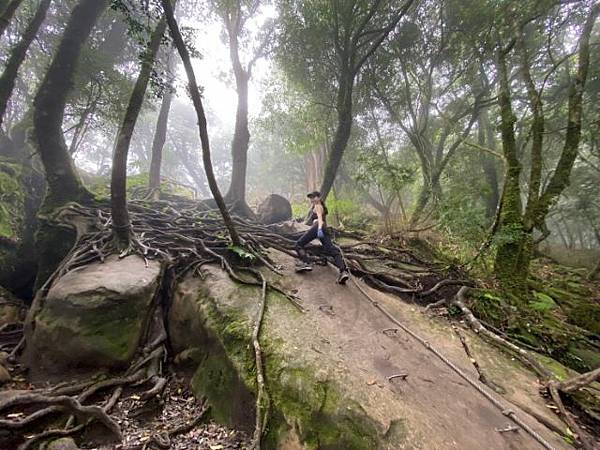 加里山 (3).jpg 加里山 (3).jpg