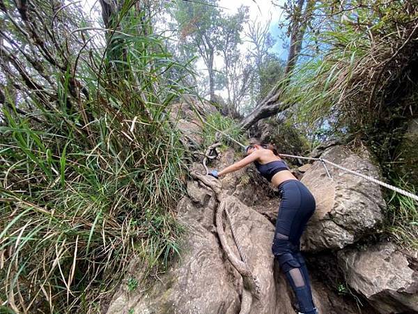 加里山 (8).jpg 加里山 (8).jpg