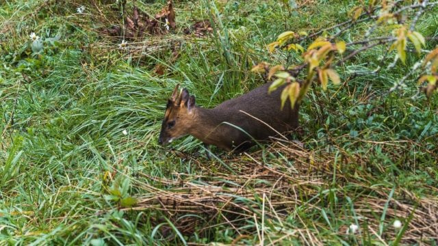 玉山 (23).jpg 玉山 (23).jpg