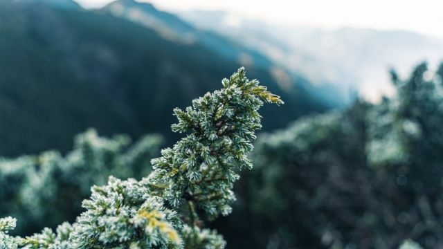 玉山 (26).jpg 玉山 (26).jpg