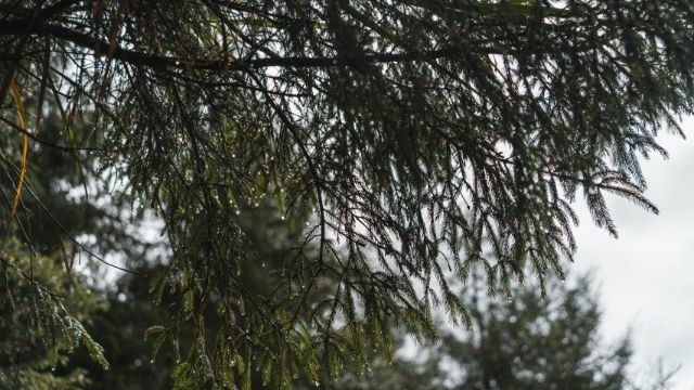 玉山 (36).jpg 玉山 (36).jpg