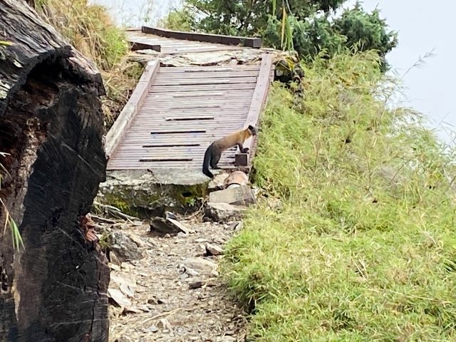 玉山 (51).jpg 玉山 (51).jpg