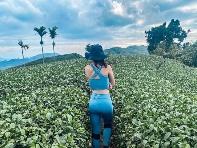 雲嘉五聯峰 (14).jpg 雲嘉五聯峰 (14).jpg