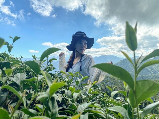 雲嘉五聯峰 (3).jpg 雲嘉五聯峰 (3).jpg