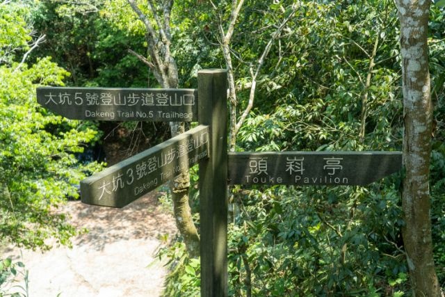 大坑4號 (14).jpg 大坑4號 (14).jpg