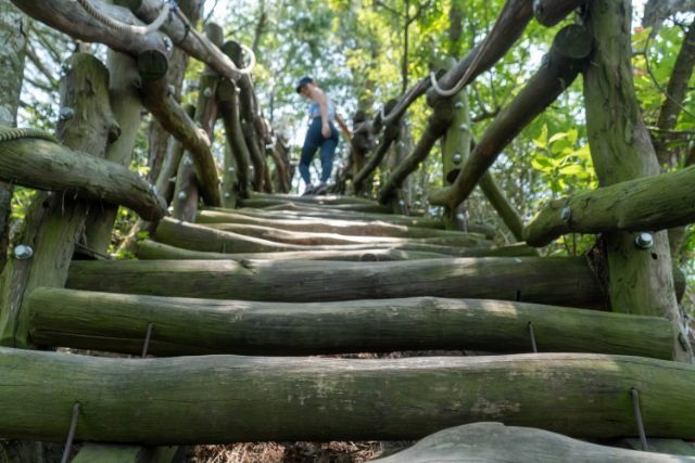 大坑4號 (7).jpg 大坑4號 (7).jpg