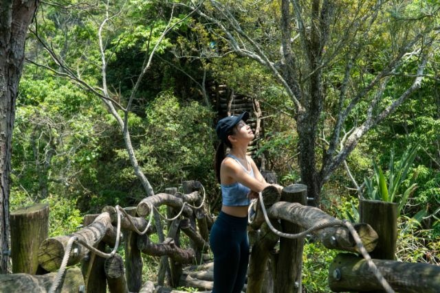 大坑4號 (8).jpg 大坑4號 (8).jpg