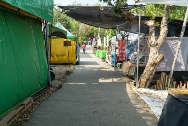 大坑9號步道 (2).jpg 大坑9號步道 (2).jpg