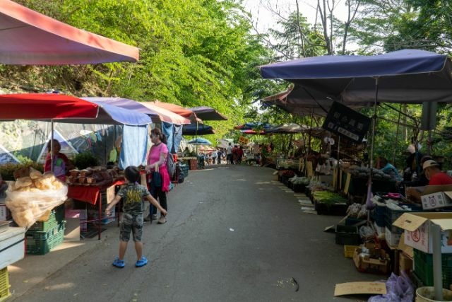 大坑10號步道 (1).jpg 大坑10號步道 (1).jpg
