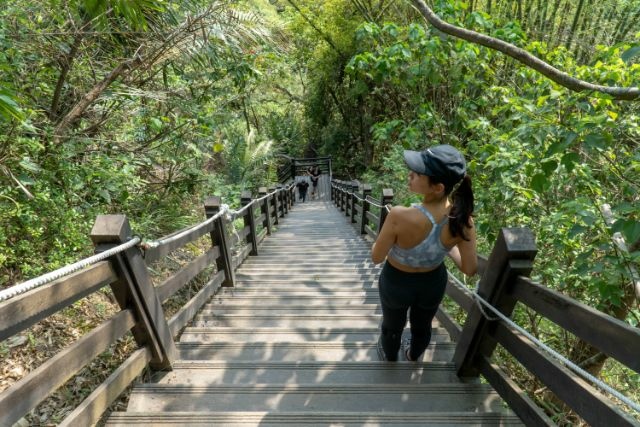 大坑10號步道 (3).jpg 大坑10號步道 (3).jpg