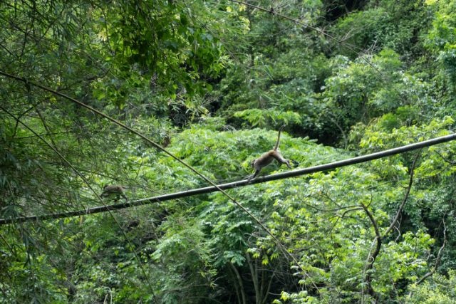 海神宮 (10).jpg 海神宮 (10).jpg