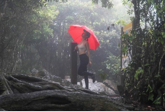 屋我為山 (9).jpg 屋我為山 (9).jpg