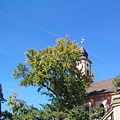 Insel Mainau