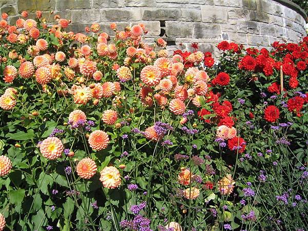 Insel Mainau