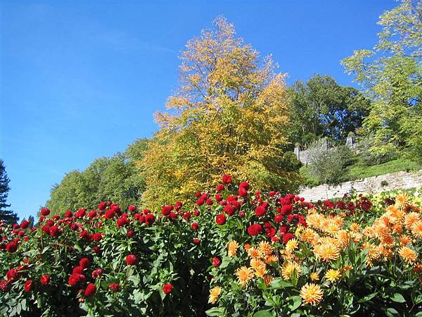 Insel Mainau