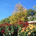 Insel Mainau