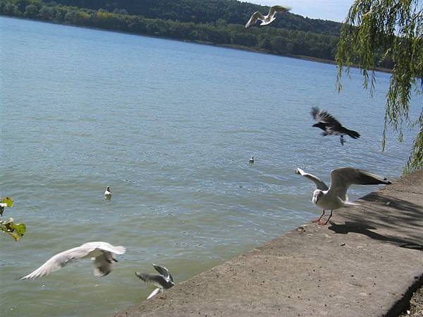 Insel Mainau