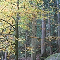 Triberg im Schwarzwald