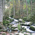 Triberg im Schwarzwald