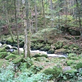 Triberg im Schwarzwald