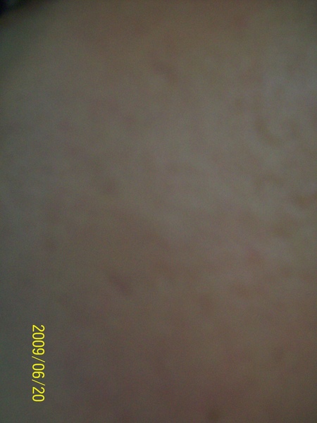 102_1653.JPG