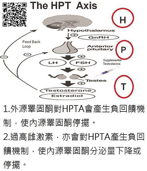 hpta-axis.jpg