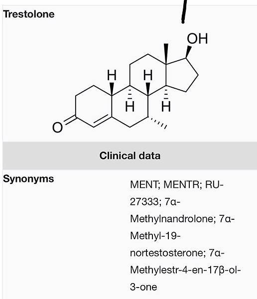 Wiki-1.jpg