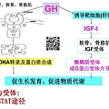 HGH-08.jpg