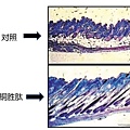 05.頭髮-2.jpg