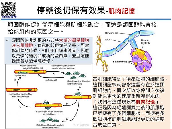 健身仔上科技與不上科技的差異_page-0014.jpg