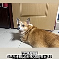 S__32645131.jpg