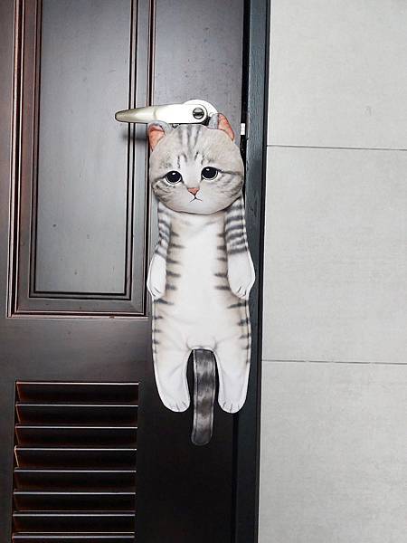 【家居布置好物】淘寶可愛小廢物大公開｜淘寶踩雷&超讚好物一次