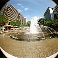 fisheye05.jpg