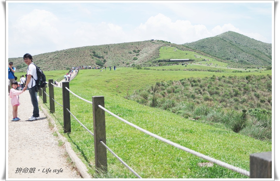 1050529陽明山擎天崗竹子湖大梯田2.jpg